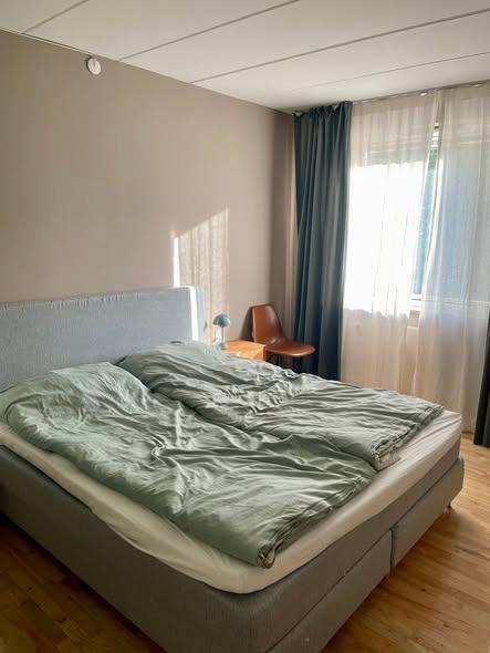 Kronprinsesse Sofies Vej