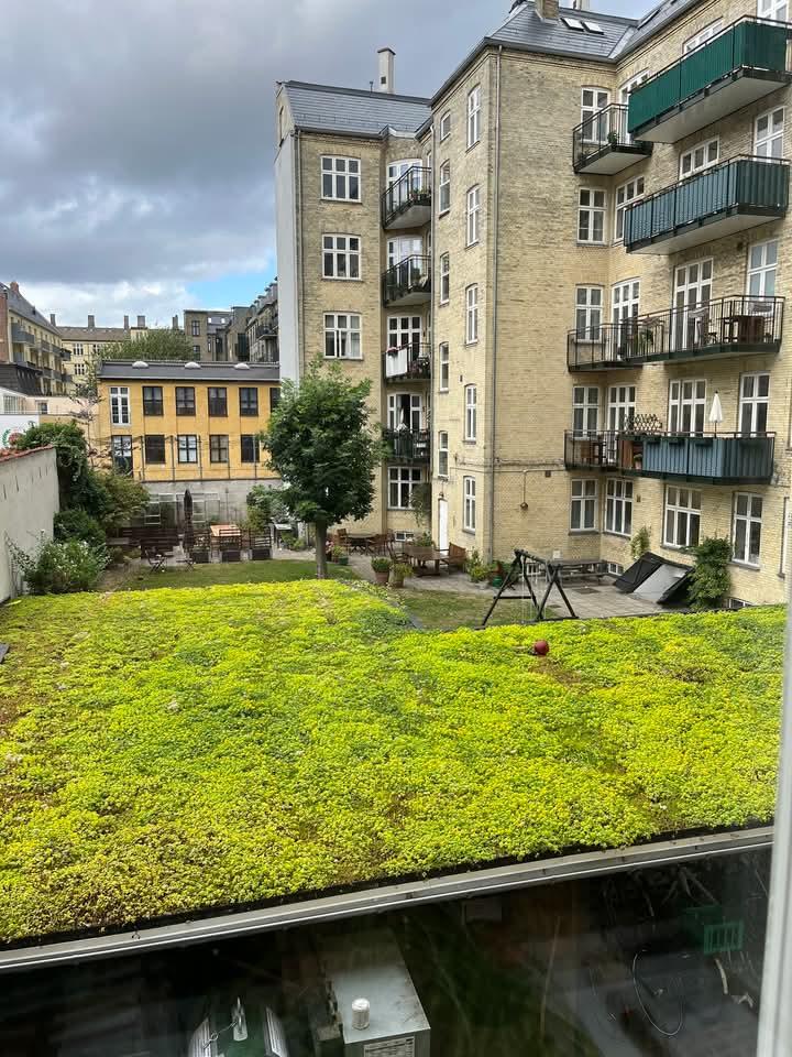 Byttebolig, Frederiksberg C, billede 1