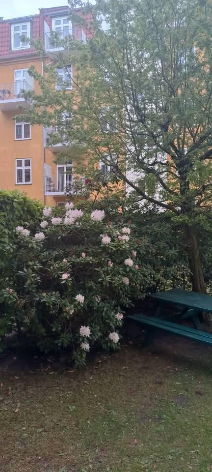 Andelsbolig i Østerbro
