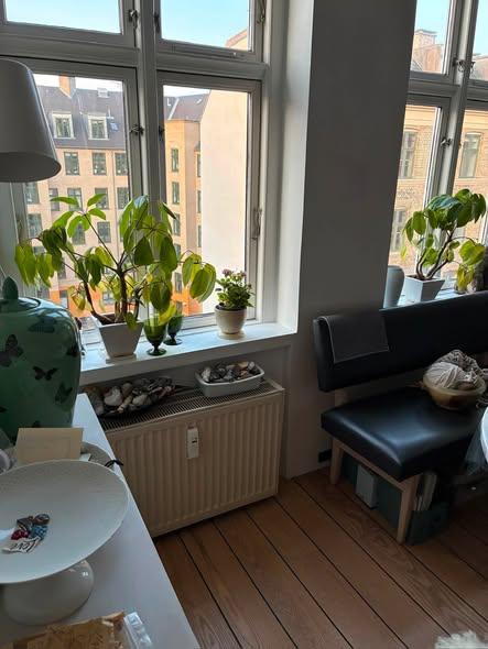 Andelsbolig i Nørrebro, billede 1
