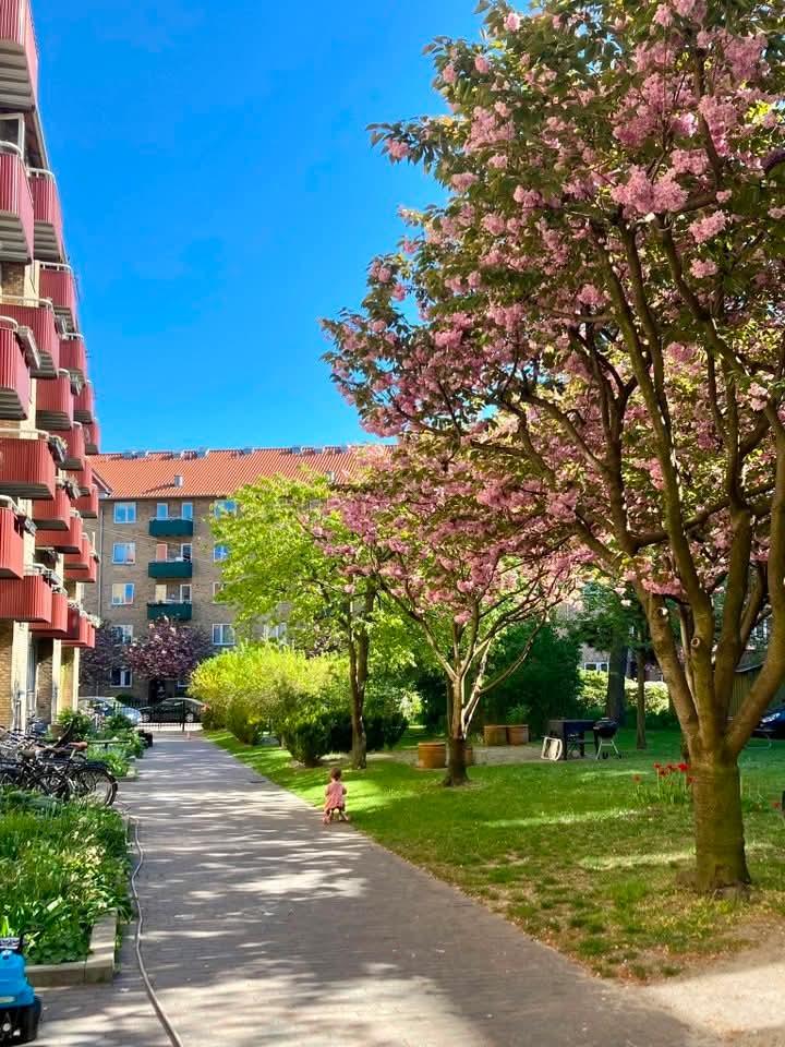 Andelsbolig i Nørrebro, billede 2