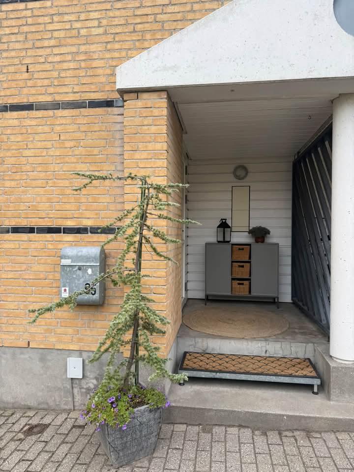 95 m² andelsbolig, Aalborg, billede 3
