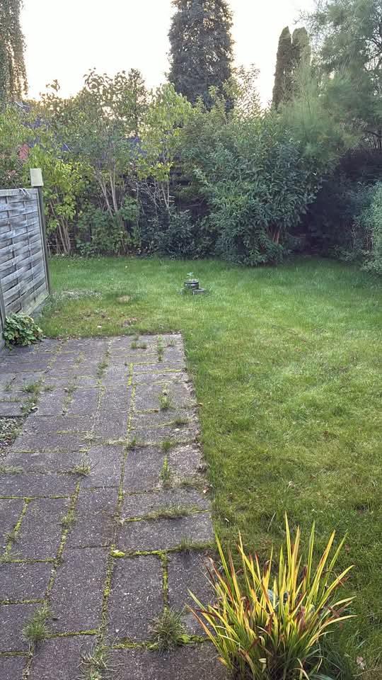 85 m² andelsbolig, Svendborg, billede 2
