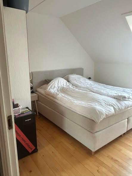 3 vær., Greve, billede 2