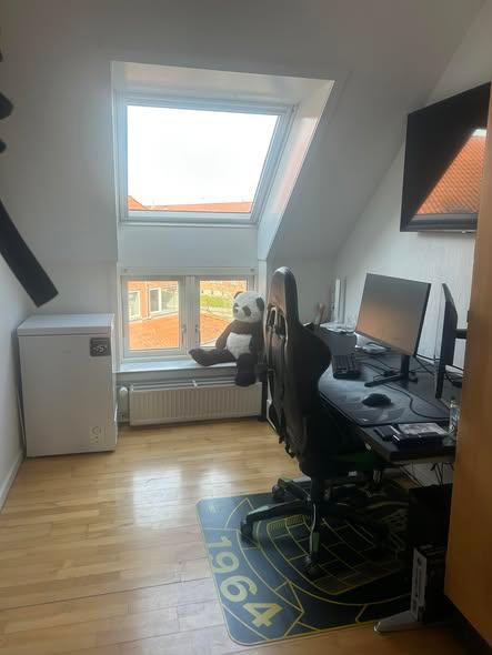 3 vær., Greve, billede 3