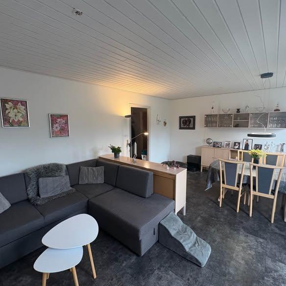 Andelsbolig, Ringkøbing-Skjern, billede 2
