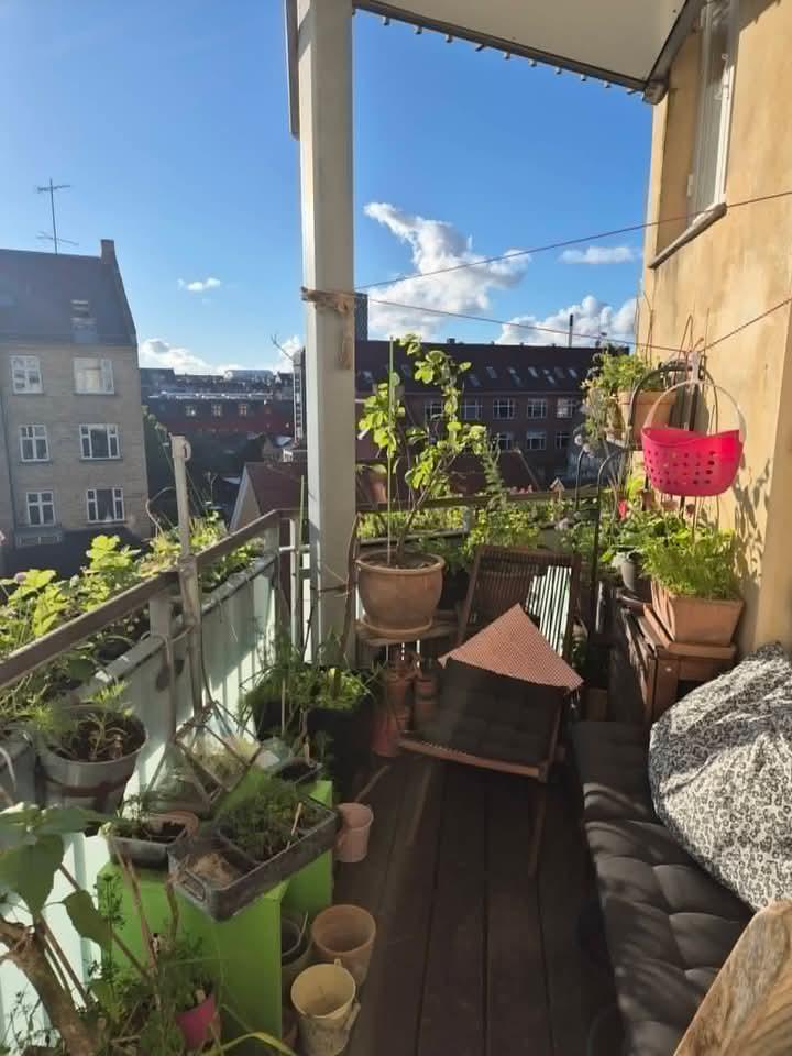 Andelsbolig i Nørrebro