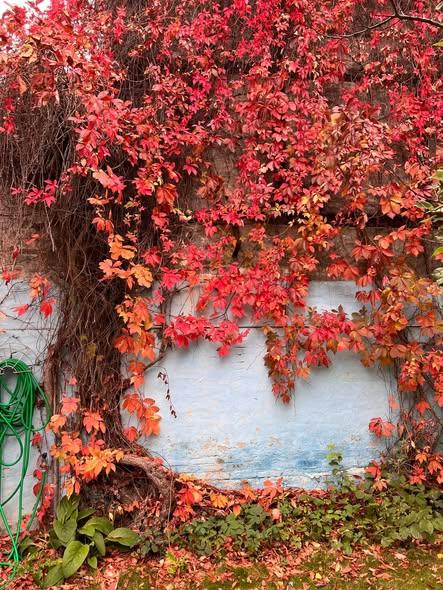 Gammel Kongevej ved Værnedamsvej