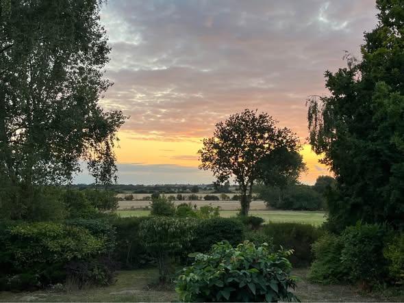 Andelsbolig, Svendborg, billede 1