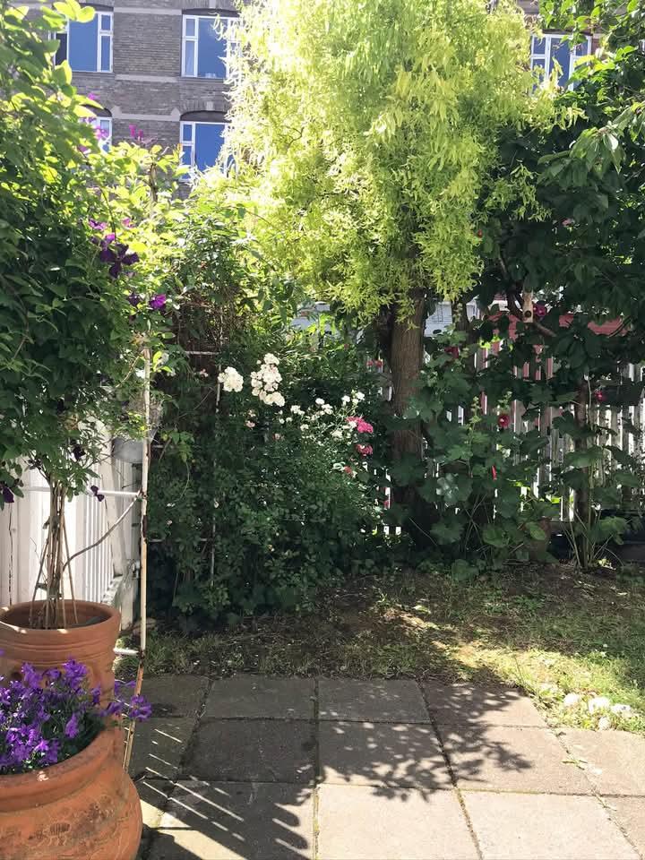 60 m² byttebolig, Østerbro, billede 2