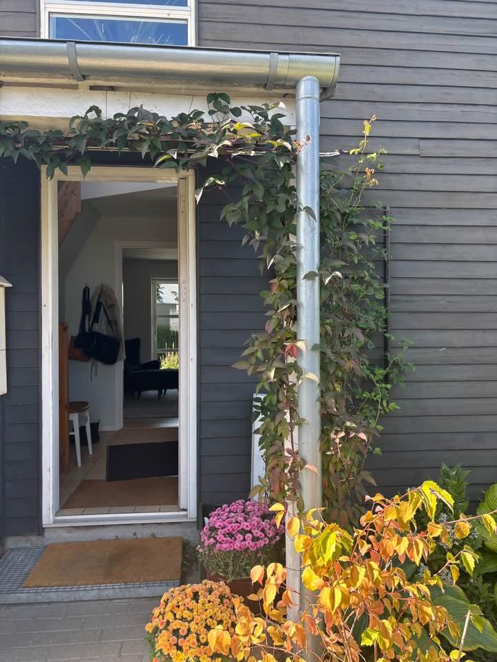Byttebolig, Køge, billede 1